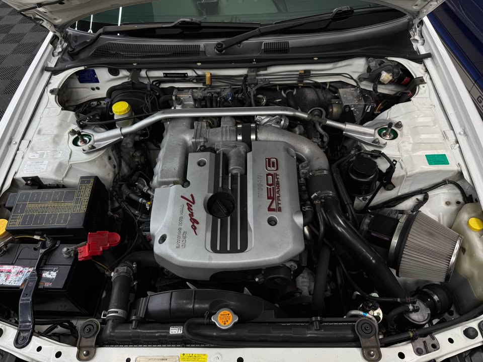 537228530 807958278233023 7106757519372269474 n