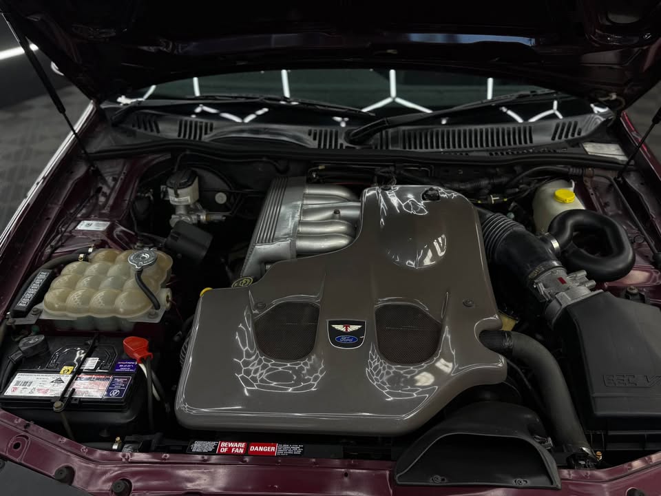 611659869 916780530684130 2287725133191213727 n