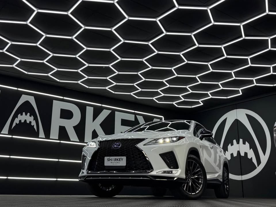 634765286 948110357551147 7861437646256328629 n