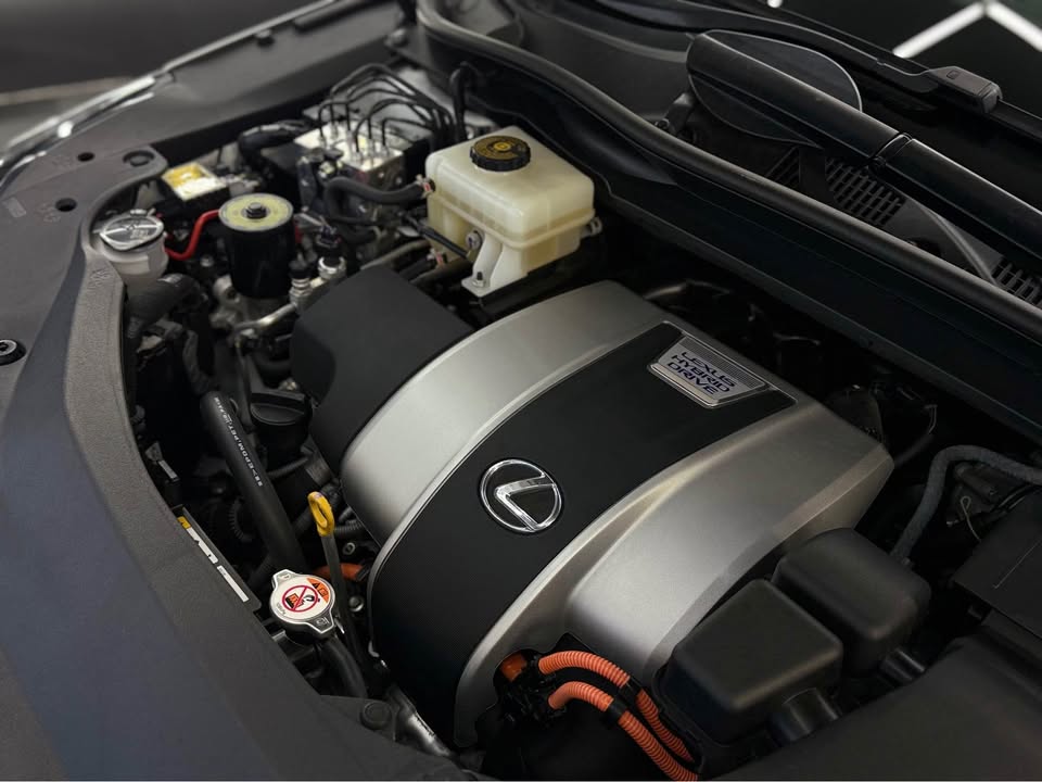 641468352 957305616631621 7485187933639109810 n