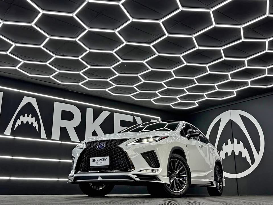 642911273 957308046631378 1498020513658804811 n