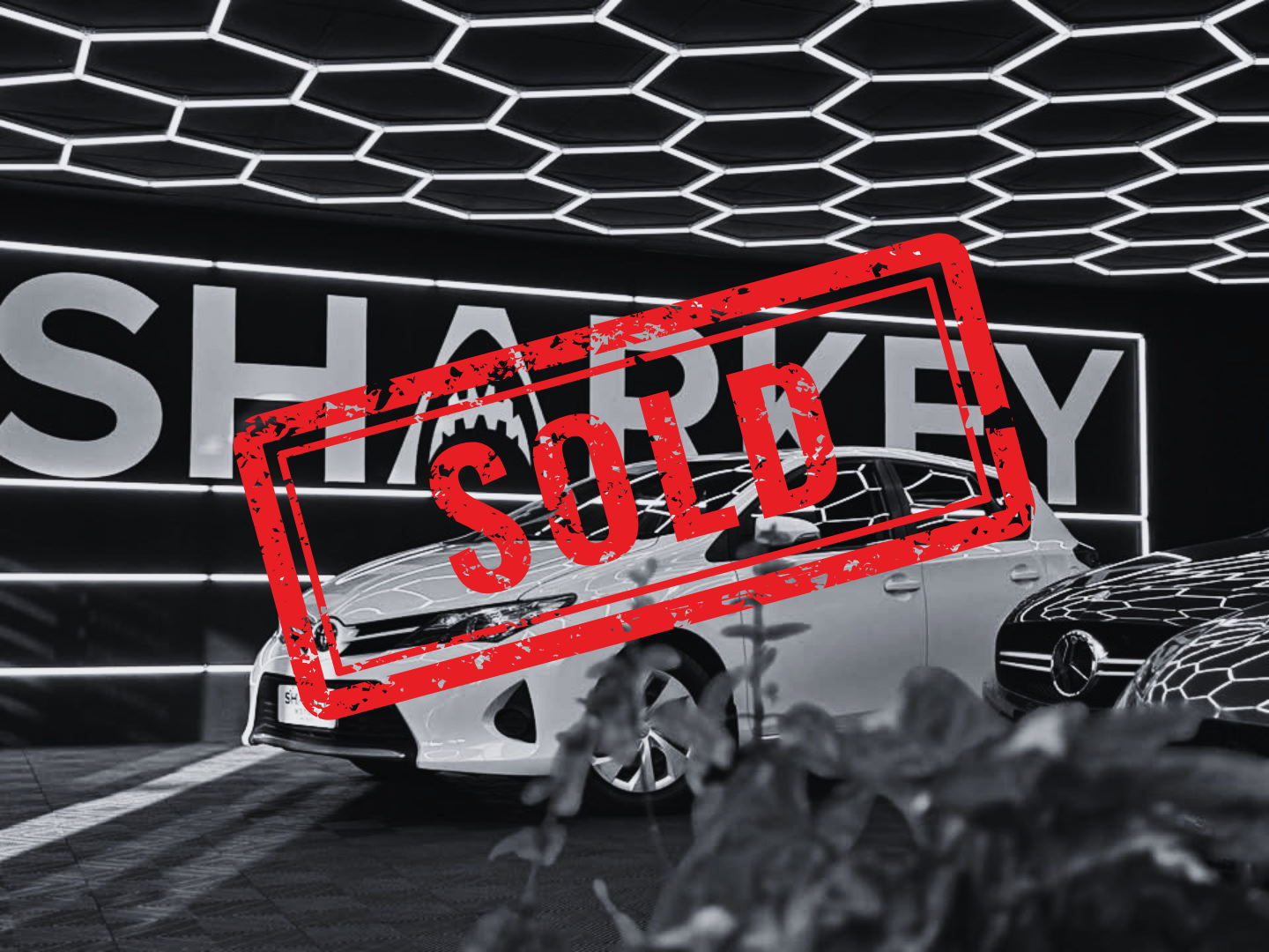sharkey motors sold template