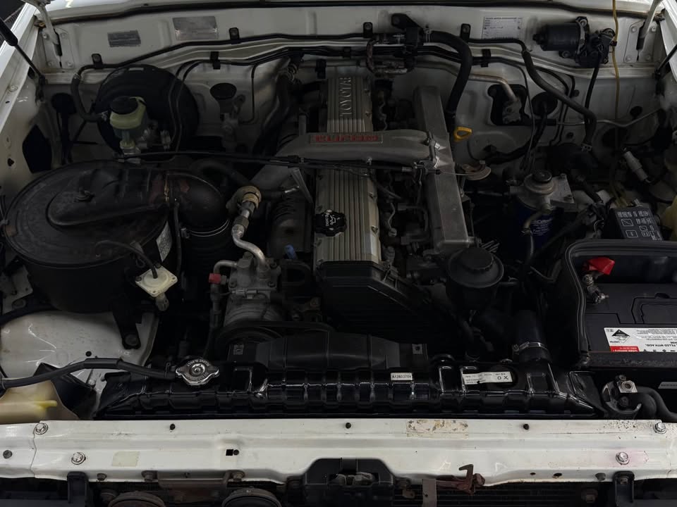 738493583 1063170266045155 5241241208845157475 n